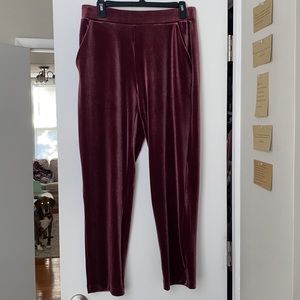 Velvet Cropped Pants from Loft